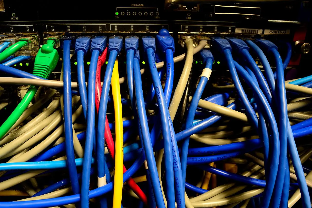network cables plugged into a rack-mounted switch